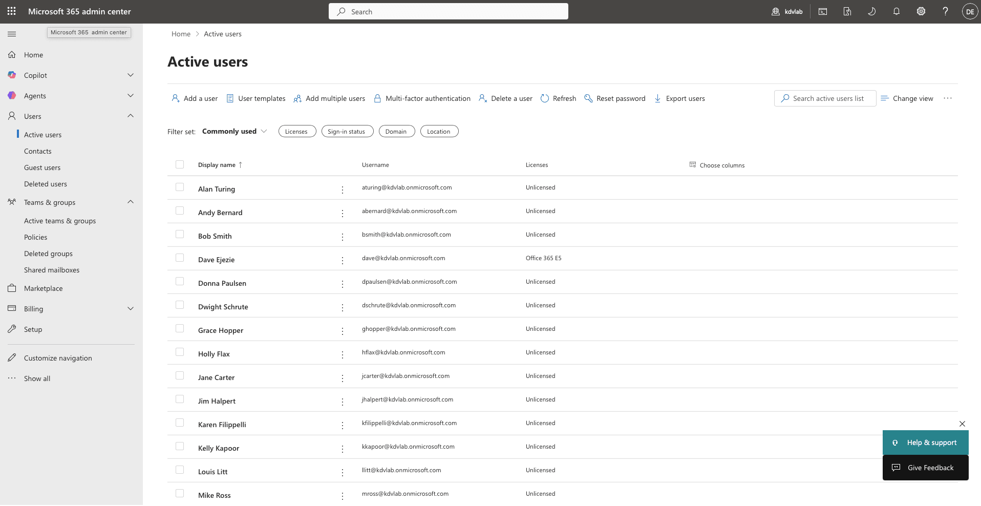 Active users list — domain accounts provisioned and licensed in M365